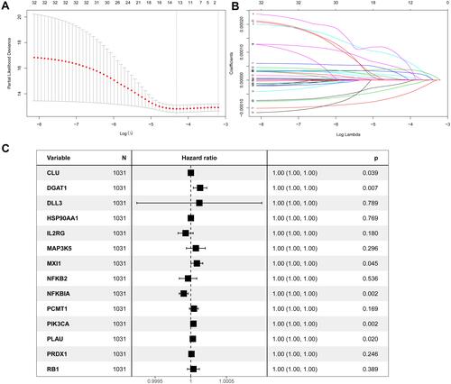 Figure 2 Identification of a prognosis-related ARG-based signature in the TCGA training cohort. (A) Selection of the optimal candidate genes in the LASSO model. (B) LASSO coefficients of prognosis-associated ARGs, each curve represents a gene. (C) Forest plots showing results of univariate Cox regression analysis between the candidate ARGs expression and overall survival.