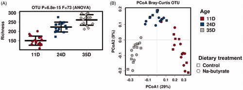 Figure 4. Alpha-diversity (richness index) (A) and beta-diversity (principal coordinate analysis) (B) of the caecal microbiota in chickens fed a control or Na-butyrate diet at different ages (11, 24, and 35 days). OTU: operational taxonomic unit; PCoA: principal coordinate analysis.