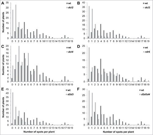 Figure 2. The distribution of recombination events in dcl2 (A), dcl3 (B), dcl4 (C), rdr6 (D), dcl2 dcl3 (E), dcl2 dcl3 dcl4 (F) plants in comparison to wt plants The Y-axis shows the number of plants, whereas the X-axis shows the number of events (spots) per single plant.