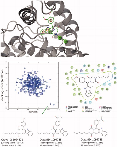 Figure 12. (Top) Derived top-scored six-sited (RRRHHH) E-pharmacophore model; (bottom) 176 000 compounds from Otava small-molecules database are screened against derived pharmacophore model and top-1000 compounds that have high Fitness scores with these sites are then docked at the PDE5 binding pocket using Glide/SP (standard precision). Compounds that show high docking scores as well as high fitness scores are shown in the figure. 2D ligand interaction diagram of selected Otava compound (1094821) is also represented in the figure.