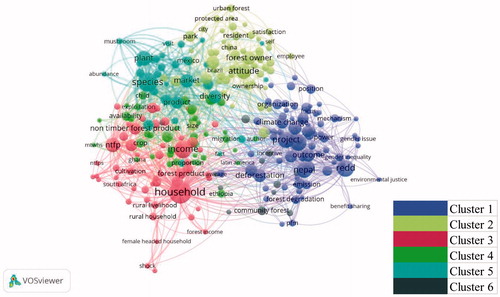 Figure 5. Network visualization showing keyword occurrences from the use of all keywords. Note: All keywords: 1) Forest and women* OR gender, 2) community-based forestry, women* OR gender, and 3) REDD+, women* OR gender. In network visualization of the occurrence of high-frequency and related words, each node represents a word used in the title or abstract of paper found using the keywords indicated and the node size indicates the number of co-occurrences. The distance between nodes indicates the relatedness of the terms and the width of the link represents the strength of the relatedness.