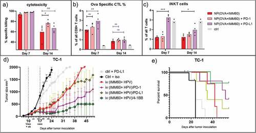 Figure 7. Combination therapy. Mechanism of checkpoint blockade therapy and application in another tumor model. Wild-type C57BL/6 mice were intravenously injected with 0,172 mg of PLGA nanoparticles (containing 6ug Ovalbumin and 30ng IMM60) with or without intraperitoneal PD-1 or PD-L1 injections repeated every 3 days. (a) Mice were transferred with ovalbumin peptide-loaded target cells on days 6 and 13 after vaccinations. Antigen-specific toxicity is shown as % of target cells killed in host 1 day after transfer. (b) Ovalbumin specific CD8 + T cells were analyzed by fluorescent H-2Kb-SIINFEKL Dextramer binding. % of specific cells to all CD8 T cells were demonstrated. (c) iNKT cell percentages among all CD3 positive NK1.1 negative cells as determined by fluorescent CD1d-α-GalCer Dextramer binding. Mean values are shown with each dot representing the value of a mouse. (d–e) C57BL/6 mice were subcutaneously implanted with TC-1 tumor cells on day 0. 10 days later mice received antibodies intraperitoneally and vaccinated with nanoparticles containing 13 µg (12 nmol) HPV E7 peptide and 260ng IMM60. Antibody treatment was repeated four times every three days and vaccination was repeated one week later. (d)Mean tumor sizes of the treatment groups shown with standard errors. (e) Survival curves of the mice in D, censored points were plotted as dots. N = 6 mice per group