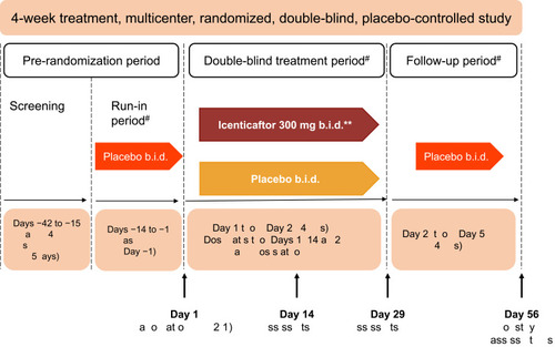 Figure 1 Study design. *Primary efficacy assessments on Day 29–12 hours after the last dose of icenticaftor. **A total of 92 patients were randomized. The first 4 patients in the study received icenticaftor 450 mg b.i.d. or placebo, prior to the protocol amendments reducing the dose to icenticaftor 300 mg b.i.d. #Patients continued on background COPD therapy throughout the study. During the entire study duration, subjects were maintained on stable baseline COPD therapy.