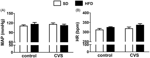 Figure 3. (A) Mean arterial pressure (MAP) and (B) heart rate (HR) in rats fed with either standard chow diet (SD) or high-fat diet (HFD) and exposed to chronic variable stress (CVS) or control. The results are presented as mean ± SEM. Two-way ANOVA followed by the Student–Newman–Keuls test. n = 7 for all groups.