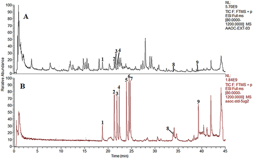 Figure 1 The fingerprint chromatograms of QFYXF. The fingerprint chromatograms of the extract of QFYXF(A) and mixture reference standards (B) in positive ion model by UHPLC-Q-Orbitrap HRMS. Calycosin-7-O-β-D-glucoside (1), benzoylmesaconine (2), benzoylaconine (3), benzoylhypaconine (4), mesaconitine (5), hypaconitine (6), aconitine (7), astragaloside IV (8), ruscogenin (9).