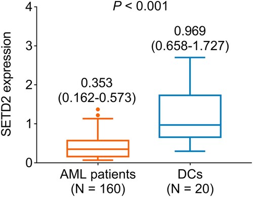 Figure 1. SETD2 expression was reduced in AML patients compared to DCs.