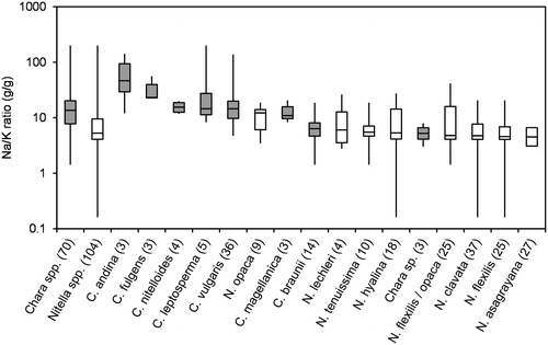 Figure 5. Box-Whisker plot of Na/K-ratios (g/g) for all taxa with at least 3 values in the water chemistry dataset. Minimum, maximum and median values are given as well as 50% and 75% quartiles (boxes). Number of values are given in brackets; Chara spp. marked in grey.