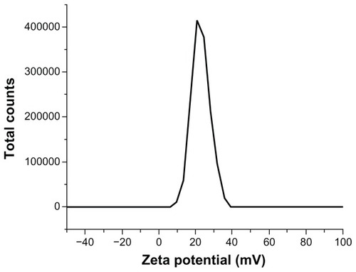 Figure 3 Zeta potential of Fe3O4-nanoparticles.