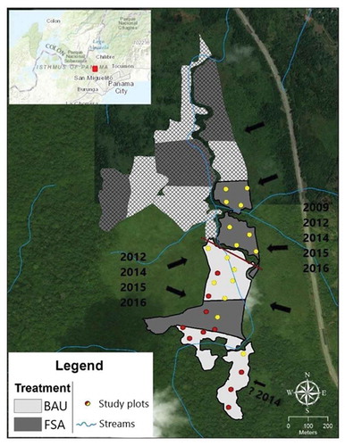 Figure 1. The reforestation area. Species selection followed the framework species approach (FSA) or the business-as-usual approach (BAU), depicted in different gray shades. The top, cross-barred part of the map was planted too late into the wet season in 2009 and too little survived for further research. Study plots, represented by the dots, were established in the surviving area in 2011. Arrows show the directions from which the fires came in, including the years they happened. Yellow dots represent the plots that still existed in 2018, red squares were destroyed by fires between 2011 and 2018. The plots south of the red line were taken into account in the fire resistance analysis