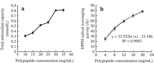 Figure 3. Antioxidant capacity of ZBMSK polypeptide: (a). Reducing power assay of ZBMSK polypeptide; (b). DPPH radical scavenging activity.Figura 3. Capacidad antioxidante de polipéptidos ZBMSK: (a). Ensayo de poder reductor de polipéptidos ZBMSK; (b). Actividad de barrido de radicales DPPH.