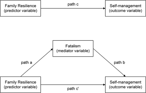 Figure 1 Diagram of paths in the mediation model.