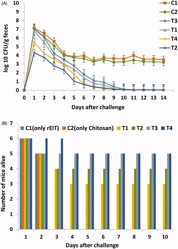 Figure 3. Results of Challenging tests in immunized and non-immunized mice against E. coli O 157:H7. (A) Reduction of shedding in immunized mice. Test and control groups were orally fed with 1010 E. coli O157:H7 and shedding was monitored daily in feces of each group for 2 weeks. Differences were considered significant whenever p < .05. (B) Number of surviving immunized and non-immunized mice infected with 150 µl of Stx2. Statistical analysis showed significant difference (p < .05) between test and control groups.