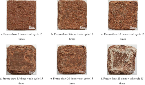 Figure 5. Macroscopic characteristics of salt weathering cycles of stone samples with different weathering degrees after fifteen times.