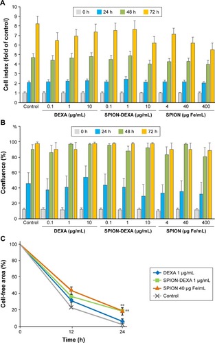 Figure 2 Effects of SPION-DEXA on endothelial cell viability and migration.Notes: (A) Real-time cell analysis and (B) live-cell microscopy. HUVECs were treated with DEXA, SPION-DEXA, or SPIONs alone for up to 72 hours. Negative controls represent untreated cells. Cell index is displayed as x-fold of untreated controls. Data are expressed as mean ± SEM; n=3. (C) Endothelial cell migration. HUVECs were pretreated with free DEXA (1 µg/mL), SPION-DEXA (1 µg/mL DEXA, corresponding to 40 µg Fe/mL), or SPIONs (40 µg Fe/mL) overnight. A gap between two cell layers was created using a cell culture insert. After removal of the insert, cell migration was monitored for 24 hours. Analysis was performed with ImageJ. Data are expressed as mean ± SEM; **P<0.01 vs untreated control (one-way ANOVA); n=3.Abbreviations: DEXA, dexamethasone; HUVECs, human umbilical vein endothelial cells; SEM, standard error of the mean; SPION-DEXA, SPIONs conjugated with dexamethasone phosphate.