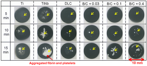 Figure 7. Photographs of platelets on surfaces of uncoated Ti and TiNb substrates and DLC and boron doped DLC films coated on TiNb substrates.