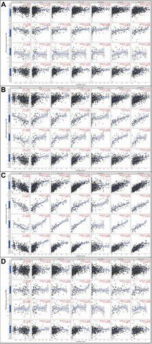 Figure 8 The correlations between JAKs and immune cell infiltration in BC. (A) JAK1 and immune cell infiltration. (B) JAK2 and immune cell infiltration. (C) JAK3 and immune cell infiltration. (D) TYK2 and immune cell infiltration.