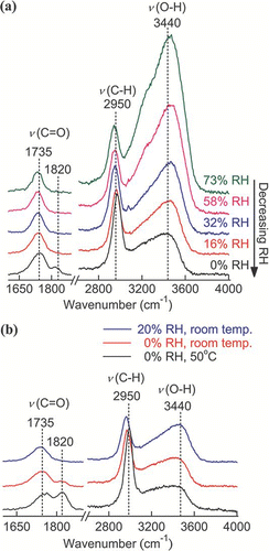FIG. 9 Raman spectra of a single GlyA particle (a) upon evaporation and (b) under dry and hot conditions. (Figure provided in color online.)