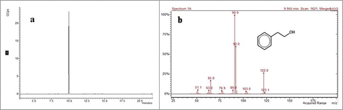 Figure 3. Gas chromatography of 2-PE produced by C. glycerinogenes WL2002-5 from L-Phe (A). MS spectrum of 2-PE produced by C. glycerinogenes WL2002-5 from L-Phe (B).