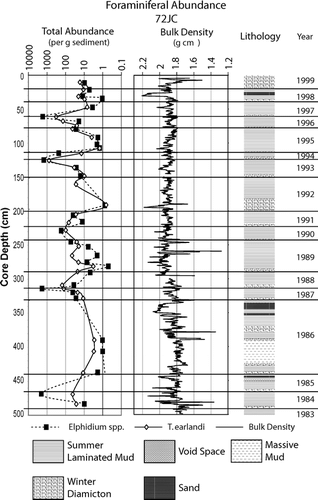 Figure 5 Jumbo core (EW0408-72JC) with total abundance of Elphidium spp. and T. earlandi normalized to 1 g fine-sediment, bulk density, core lithology, and chronology.