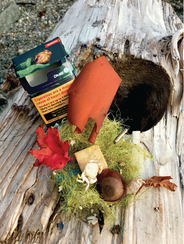 Figure 4. CAJ, “Caught by the Tide,” Vancouver Island. Objects: Crab shell, cigarette box, driftwood, bark, chestnut, leaf, eraser, and moss.