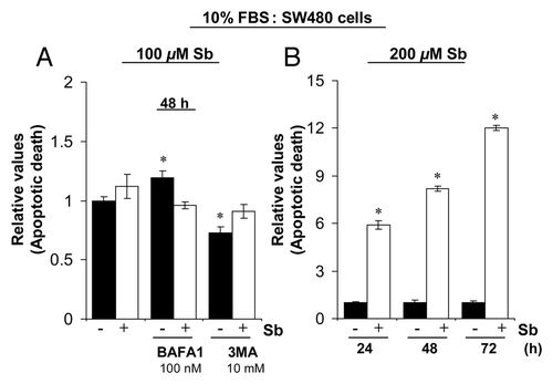 Figure 6. Effect of silibinin on apoptotic induction in SW480 cells. (A) Effect of cotreatment with autophagy inhibitors BAFA1 and 3MA on apoptotic induction by silibinin in SW480 cells. (B) Effect of high dose (200 μM) silibinin on apoptotic induction in SW480 cells. All experimental procedures and statistical analysis were performed as detailed in Materials and Methods. *p < 0.001.