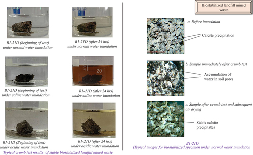 Figure 5. Crumb test results and microscopic images of biostabilized landfill mined waste.