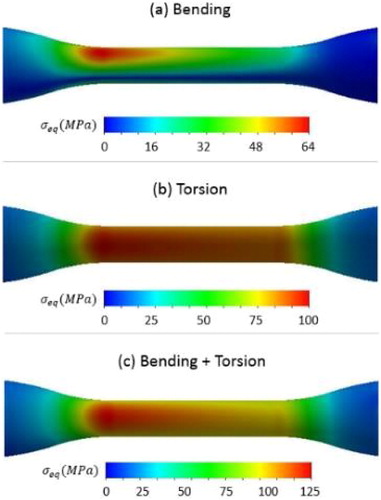 Figure 2. Equivalent stress distribution in humerus bone according to bending or torsion loadings for an applied force of 50 N on the hand extremity.