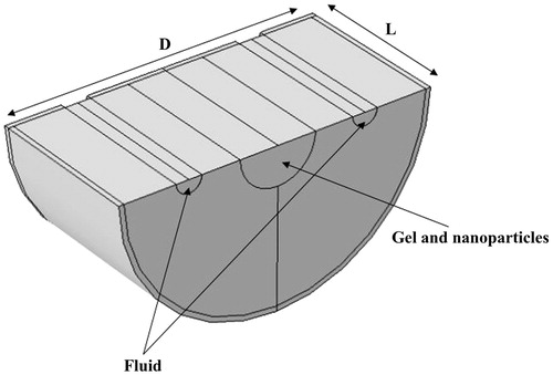 Figure 2. Geometric model of the gel and fluid.