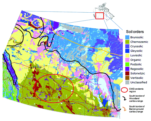 Figure 1. Soil orders map of Western Canada (Alberta, Saskatchewan and Manitoba) with range of caribou (Rangifer tarandus spp.) and CWD-endemic region. (Map source: Agriculture and Agri-Food Canada, 2010, v.3.1).