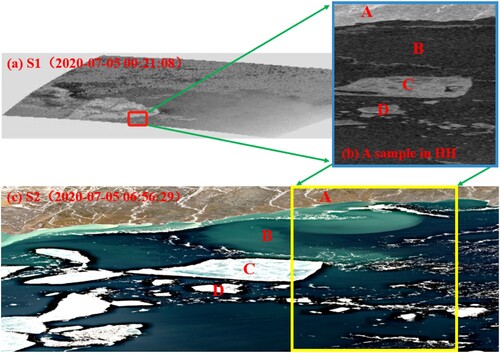 Figure 8. An example of overlapping S1 and S2 for the selection of training data. A denotes land, B denotes ocean, and C and D denote sea ice. Panel (a) shows an S1 scene from 00:21 am July 5, 2020, located in the sea near SZ; (b) shows a selective sample (dB, HH image), and (c) shows an optical S2 scene (red – green – blue (RGB) channels) used to verify the rationality of sample data selection (6: 56 am on July 5, 2020).