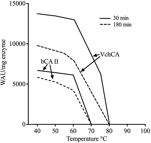 Figure 4. Thermostability of VchCA and bCAII. The enzymes were incubated for 30 and 180 min at the indicated temperatures and assayed using CO2 as substrate.