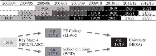 Figure 2. Illustration of data and age of cohorts.