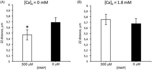 Figure 1. Effect of SNAP (300 μmol/L), on zz-distance in the absence (A) or presence (B) of 1.8 mmol/L [Ca2+]o; n = 19; *p < .05.