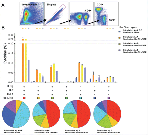 Figure 5. Cytokine frequencies and phenotypic profiles of specific CD4+ T cells following DNA immunization. Cytokine recall responses to BoNT/Hc/ABE were measured 3 weeks after the last immunization by ICS and flow cytometry. (A) The gating strategy used to analyze the frequency of CD4+ T cells positive for IFN-γ, TNF-α, and IL-2 cytokines. (B) Multiparameter flow cytometry was used to determine the percentages of multifunctional CD4+ T cell cytokine profiles of BoNT/Hc/ABE. The bar chart shows the percentage of specific CD3+CD4+ T cells displayed as IFN-γ, TNF-α, and IL-2 triple, double, or single positive CD4+ T cells. Pie charts show the relative proportion of each cytokine subpopulation to BoNT/Hc/A, B, and E stimulation. Background staining from cells stimulated with medium alone was subtracted. Data represent the mean ± SEM of 5 mice per group with +P< 0.01 using Student's t-test compared to the naïve group.