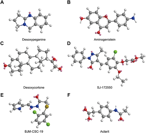 Figure 4 The structure of six small molecules. (A) Desoxypeganine; (B) Aminogenistein; (C) Desoxycortone; (D) SJ-172550; (E) BJM-CSC-19 and (F) Actarit.