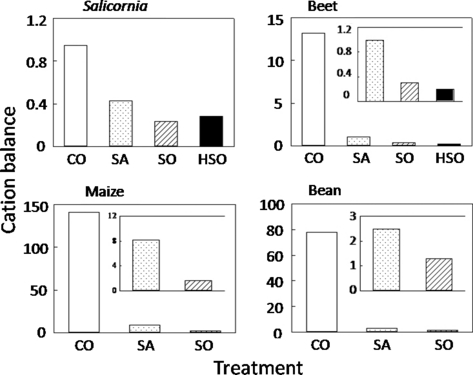 Figure 4 Cation balance in the shoots of each plant species examined. CO, control; SA, saline soil; SO, sodic soil; HSO, highly sodic soil.