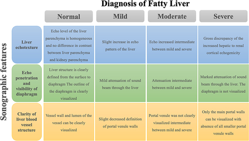Figure 2 Schematic diagram of sonographic features for fatty liver diagnosis.