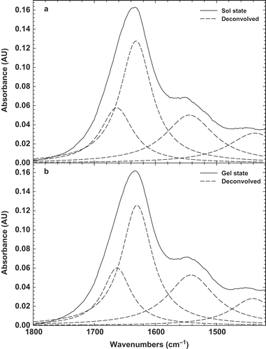 FIGURE 2 Original FTIR and deconvolved spectra of 10% BLG solution (a) before heating sol; and (b) after heating gel at room temperature.