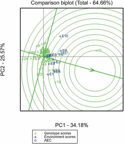 Figure 4. GGE comparison biplot based on genotype-focused scaling for comparing the 24 normal and biofortified inbred lines with the ideal genotype.