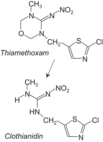 Figure 1. Structure of thiamethoxam and its biologically relevant metabolite, clothianidin.