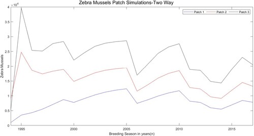 Figure 5. Simulated total population (sum of juveniles, small adults, and large adults) for the three patch model with two-way boat movement using estimated parameters in Table 5. The y-axis unit is the number of zebra mussels per square metre.