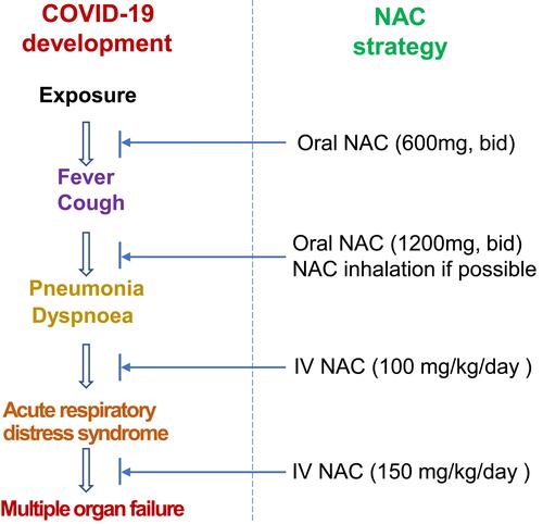 Figure 4 A brief overview of a NAC therapeutic strategy to combat COVID-19.