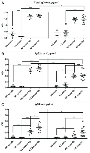 Figure 7. Serological immune response against H. pylori in the different groups of mice: (A) Total IgG. (B) Th1 (IgG2c). (C) Th2 (IgG1). OD, optical density. *, p ≤ 0.05; **, p ≤ 0.01; ***; p ≤ 0.001.