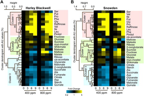 Figure 4. One-way Hierarchical clustering analysis of metabolites in two potato cultivars, Harley Blackwell (HB) and Snowden (SD) across drought and CO2 treatments. Heatmap with hierarchical clustering analysis showing either the increase (shown in yellow) or decrease (shown in blue) of leaf metabolites in response to time of drought treatment (0, 3, 6, and 9 days), and CO2 treatments (ambient, 400 ppm vs. elevated, 800 ppm) in the HB (A) and SD (B). Values are given as ratios obtained from drought and well-watered (control) treatments and are shown in gradations from 0.2–5× (see scale bar). Ratios that were unchanged are shown in black. AU represent approximately unbiased P-values (0–100%, the higher the number the more significant).