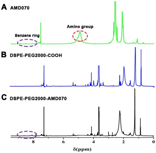 Figure 2 Identification of DSPE-PEG2000-COOH. (A) The 1H NMR spectrum of AMD070. (B) The 1H NMR spectrum of DSPE-PEG2000-COOH. (C) The 1H NMR spectrum of DSPE-PEG2000-AMD070.