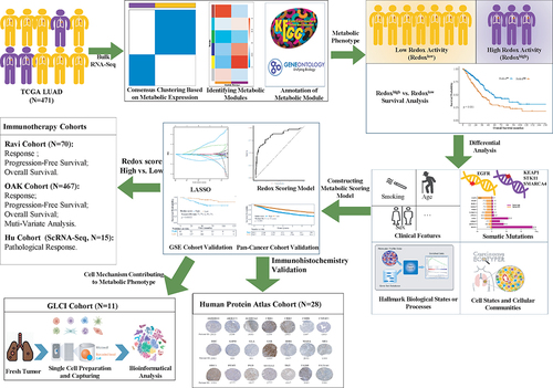 Figure 1. Overview of study flow chart.