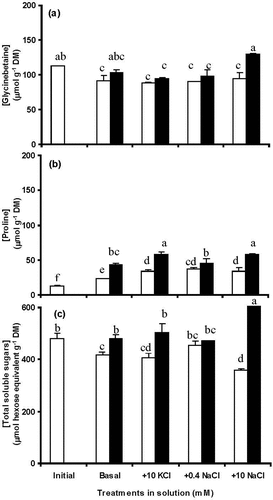 Figure 3. Concentrations of glycinebetaine (a), proline (b), and (c) total soluble sugars for segments of FEFL of wheat (cv. Hartog) in two PEG 8000 treatments (0 and − 0.5 MPa) in the basal incubation solution, basal plus 10 mM KCl, basal plus 0.4 mM NaCl, and basal plus 10 mM NaCl at 0 (initial) and 48 h of treatment. Values are means ± SE (n = 3). 0 MPa □, −0.5 MPa ■. Some error bars are too small to see. The scale of Y axis in Figure 3(c) is 3-fold that in Figure 3(a,b). Significant differences (P < 0.05) between PEG treatments and amongst KCl and NaCl treatments were indicated by different letters.