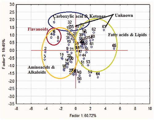 Figure 2. PCA demonstrating the clustering of chemical groups of known metabolites.