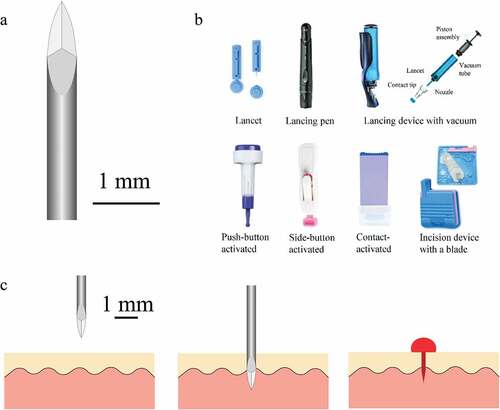 Figure 1. a – Tri-bevelled lancet tip. b – Commercially available lancet devices. c – Needle type lancet puncturing through tissue as in a conventional spring-loaded lancing pen.