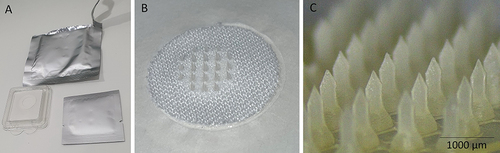 Figure 1 (A) Representative microneedle packaging comes with DMN and sterile saline pad for application, (B) Photograph of DMN, (C) Representative stereomicroscopic images of the 1000 µm DMN-containing triamcinolone acetonide.